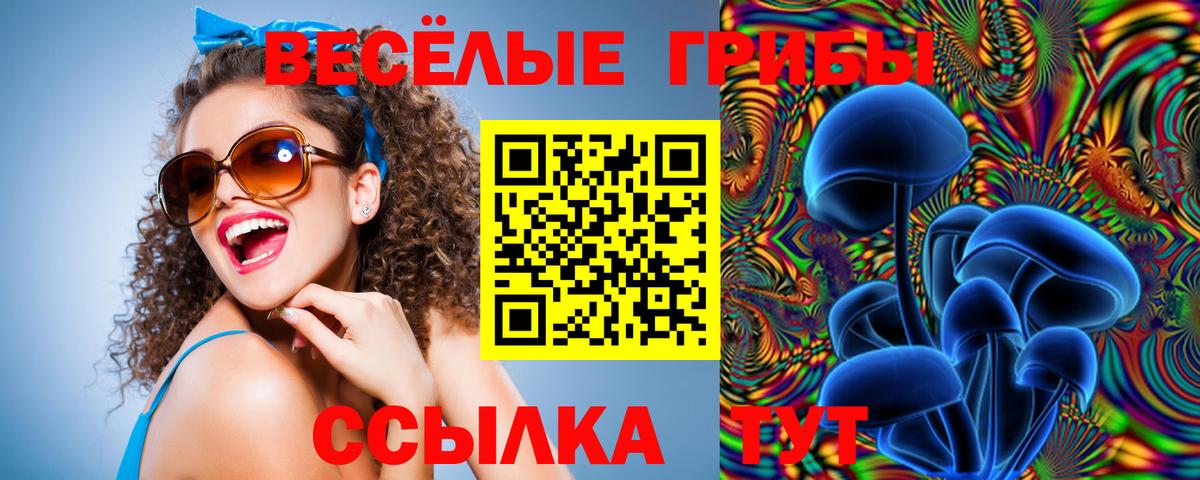 Прохладный  Галлюциногенные грибы Psilocybe  Псилоцибиновые грибы Psilocybe  Вход с VPN 