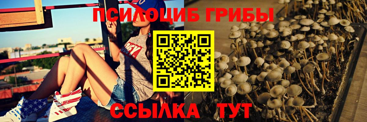 Гашиш  Меф  Вход с VPN  Прохладный  КЕТАМИН  Меф МЯУ МЯУ   Каннабис 