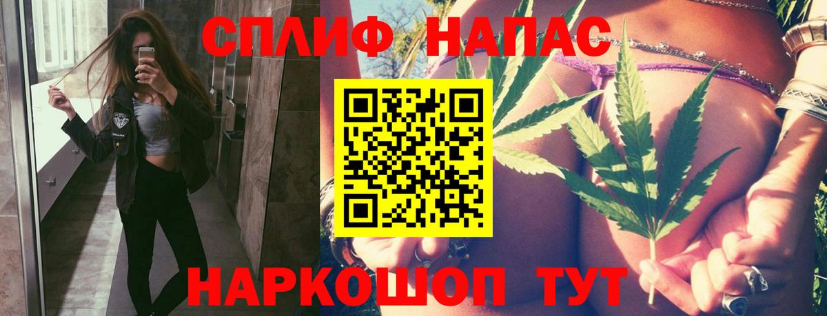Конопля ГИДРОПОН Прохладный